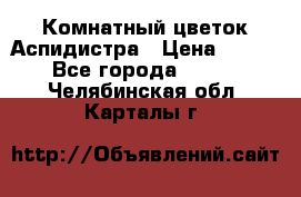 Комнатный цветок Аспидистра › Цена ­ 150 - Все города  »    . Челябинская обл.,Карталы г.